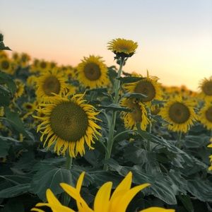 Meet your Posher, Mayra